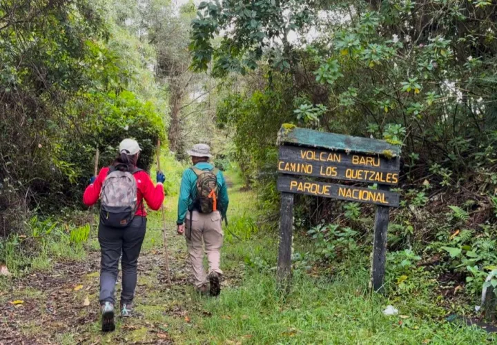 Se restablece ingreso al Sendero Los Quetzales del Parque Nacional Volcán Barú. Foto: Cortesía