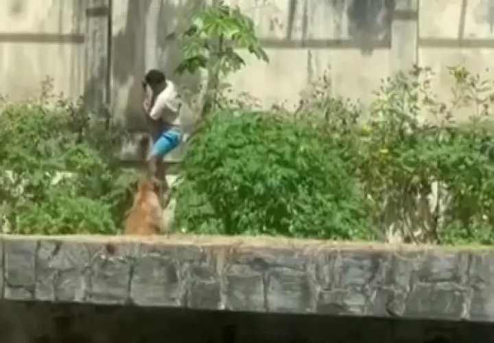 El portal VoxPB difundió en su cuenta de Instagram un video del incidente registrado. /Foto: EFE