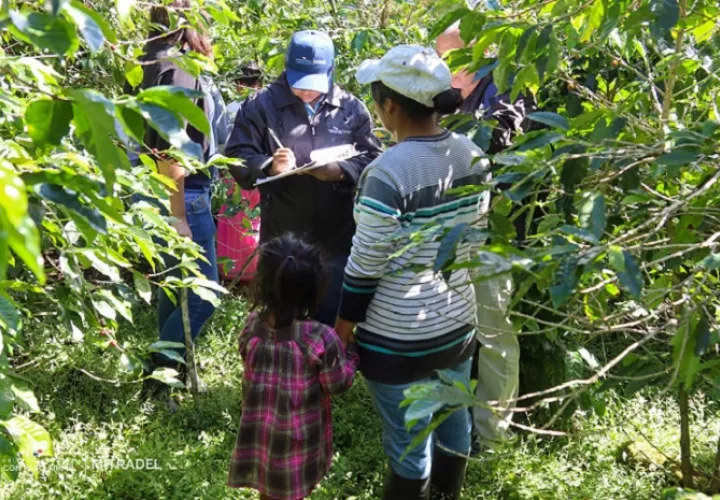 Se identificó a 7 niños y 3 niñas entre las 7 a 17 años de edad.  /  Foto: Mitradel