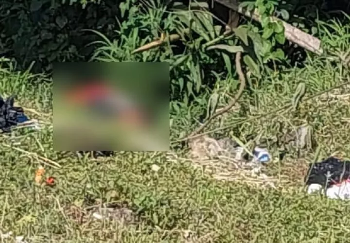 El cuerpo estaba a la orilla de la vía hacia Río Congo.  /  Foto: Ilustrativa