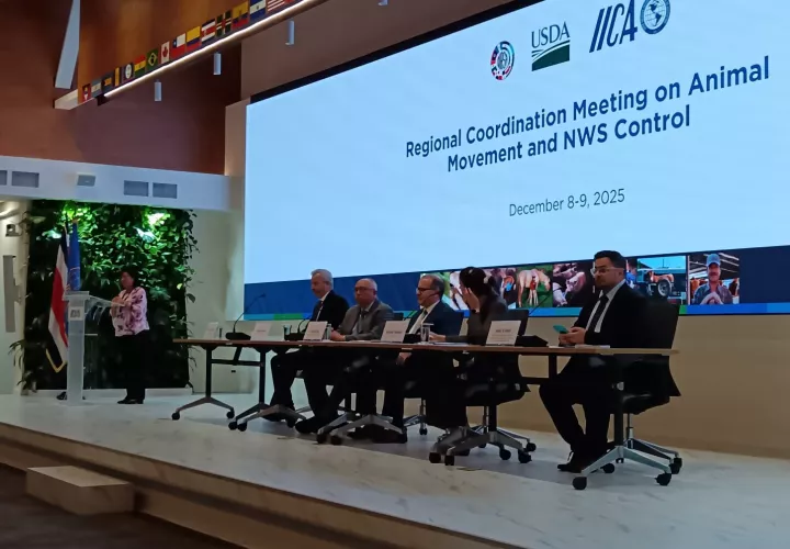 El encuentro permitió establecer algunas bases técnicas. Foto: Cortesía 