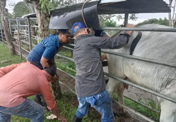 Será la cuarta vez que este congreso se realice en América Latina. Foto: Cortesía