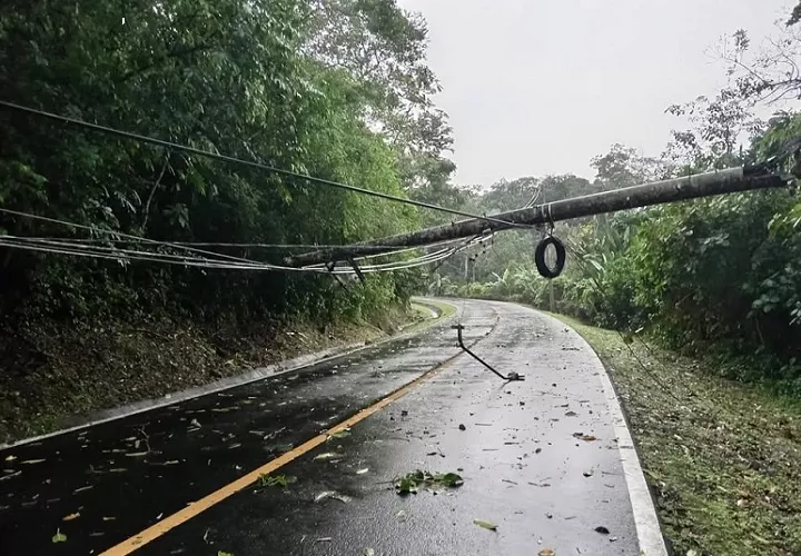 Hubo varios postes del tendido eléctrico en la carretera. Foto.: Diómedes Sánchez