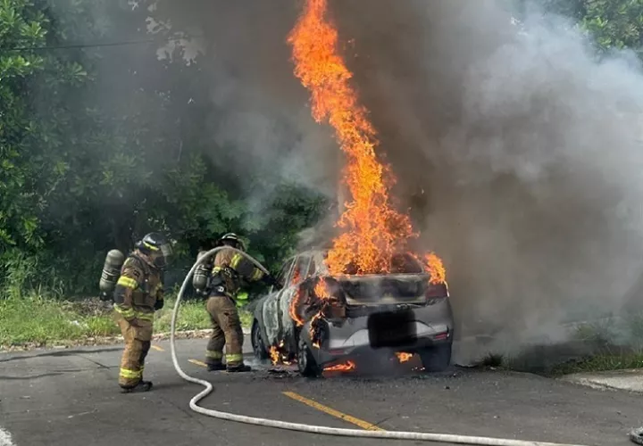 Uno de los casos se reportó en la barriada Las Praderas, sector La Herradura, distrito de La Chorrera, en Panamá Oeste.  /  Foto: BCBRP