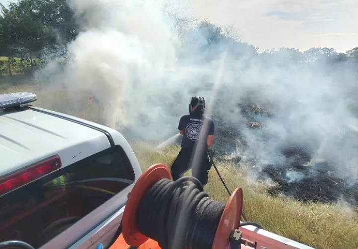 La Zona Regional de Los Santos, respondió al llamado de emergencia y sofocó el incendio de masa vegetal en orilla de playa Monagre.  /  Foto: BCBRP