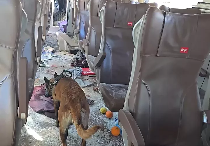 Un agente de la Guardia Civil rastrea con un perro el interior de uno de los vagones siniestrados del accidente ferroviario en Adamuz. Foto. EFE
