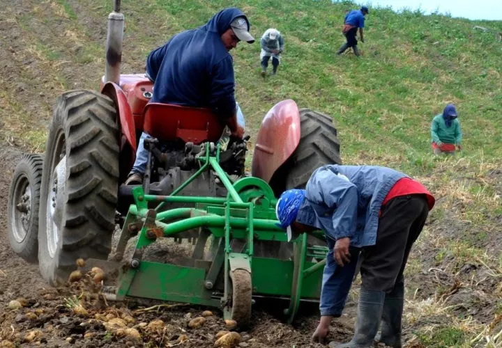 El Banco de Desarrollo Agropecuario logró recuperar 37.4 millones de balboas en capital, lo que representa un 112.12%, además de 3.5 millones en intereses.