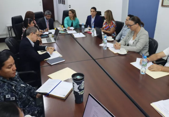 En la comisión participaron funcionarios del Ministerio de Ambiente (MiAmbiente), la ARAP, la Cámara Nacional de Pesca y Acuicultura, la Universidad de Panamá, la Universidad Marítima Internacional, el Servicio Nacional Aeronaval (SENAN), MarViva, Mar Alliance, el Instituto Smithsonian, la Autoridad Nacional de Aduanas y el Ministerio de Relaciones Exteriores, entre otros.