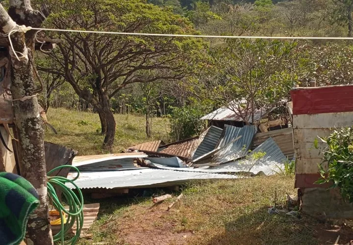 La dirigente comunitaria Jovita Méndez, dijo que se mantiene a la espera de reportes de otras comunidades de la región, ya que los fuertes vientos continúan azotando la zona. Foto. Melquíades Vásquez