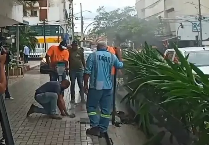 Los operativos de cortes se mantendrán todo el año. 