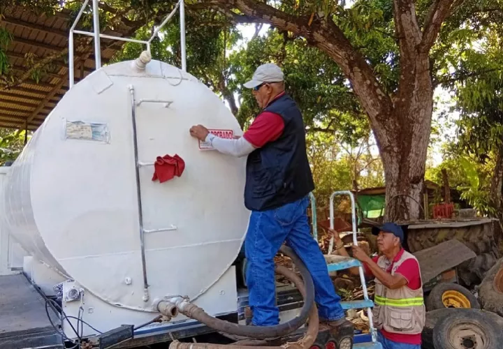 Las autoridades buscan garantizar un desarrollo ordenado y seguro de los culecos, asegurando la disponibilidad del recurso y el cumplimiento de las normas ambientales durante una de las festividades más concurridas de la provincia de Herrera. Foto. Thays Domínguez