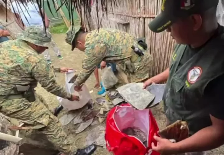 Se inicia la investigación de este caso por delito ambiental.  /  Foto: Senafront