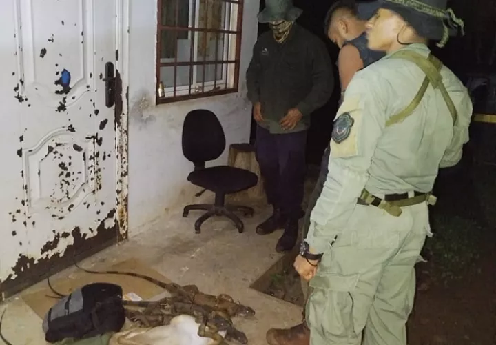 El hombre aprehendido podría enfrentar cargos por presunta violación de las normativas ambientales.  /  Foto: Eric Montenegro