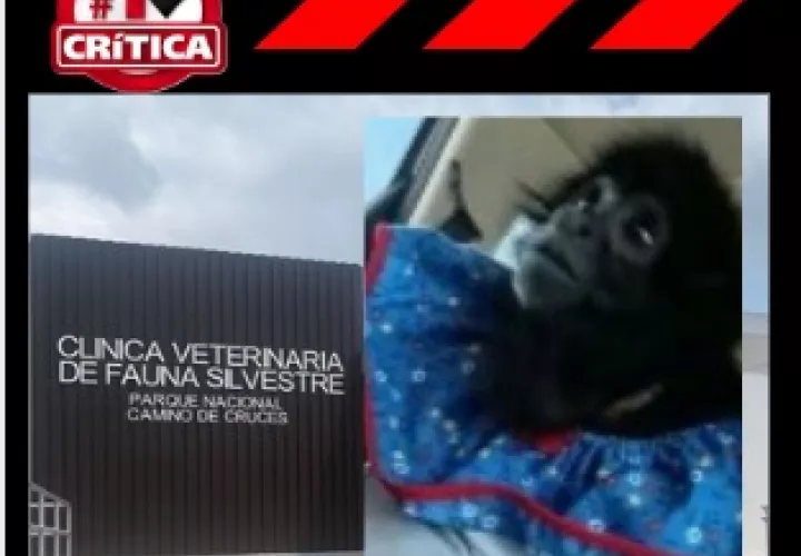 La familia de Karol dice que después de 4 meses le dicen eso. 