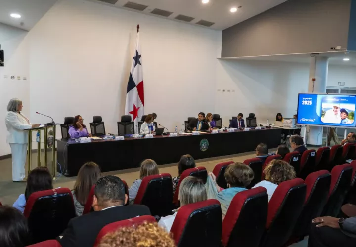 La ministra Beatriz Carles presentó la memoria institucional ante la Comisión de Trabajo, Salud y Desarrollo Social.