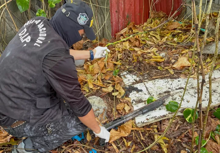 Las armas fueron puestas a órdenes de las autoridades judiciales. Foto: Cortesía