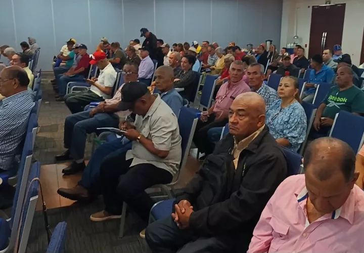 Los transportistas consideran que el escenario futuro será complejo, por lo que hacen un llamado a las autoridades para que se evalúen medidas que permitan garantizar la sostenibilidad del servicio. Foto. Melquíades Vásquez