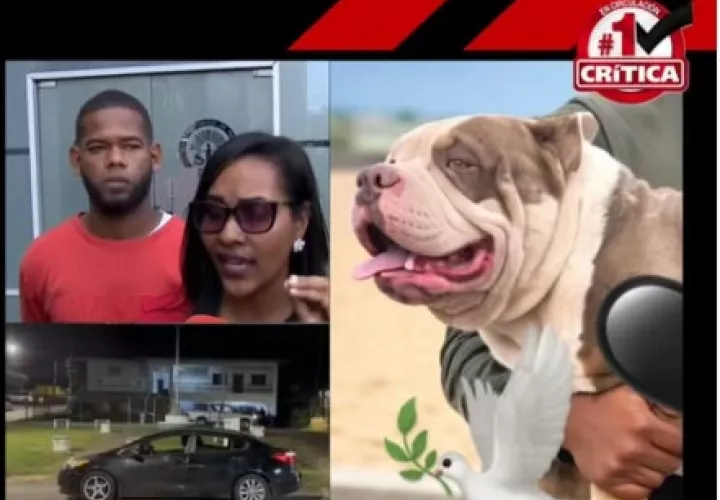 El dueño de las mascotas, Josué Alarcón, pidió una investigación completa de lo ocurrido el pasado 15 de marzo.