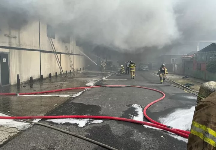 El incendio ha generado una densa columna de humo que se ha extendido a áreas cercanas.  /  Foto: BDBRP
