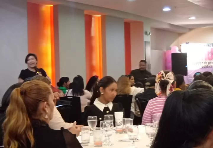 Datos presentados indican que la participación femenina en parlamentos a nivel mundial ronda el 27%, mientras que en Panamá apenas llega a un 21%.