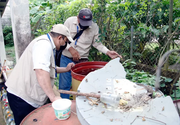 Las autoridades piden eliminar recipientes que acumulen agua como latas, botellas y neumáticos, tapar depósitos y limpiar los alrededores de las viviendas.