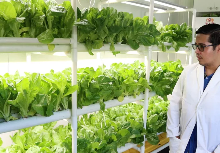 El lugar también servirá para que productores se capaciten. Foto: Cortesía 