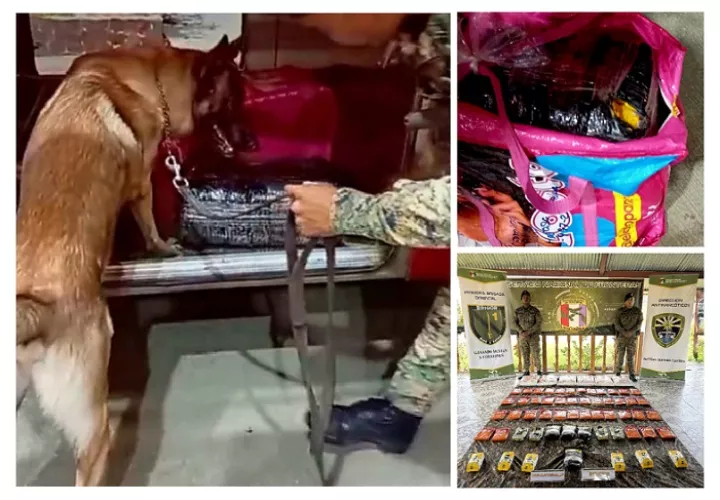 Los paquetes de droga iban ocultos entre sacos de encomienda. / Fotos: Senafront