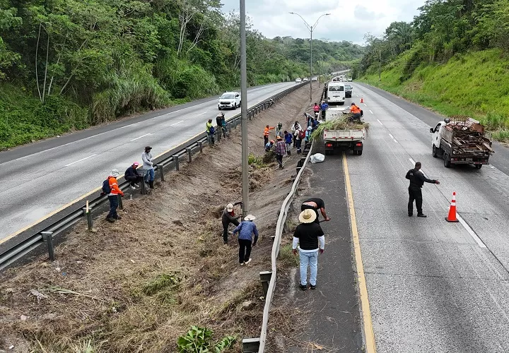En esta primera fase, se intervienen aproximadamente 1.5 kilómetros, mediante labores de remoción de maleza y recolección de desechos sólidos.