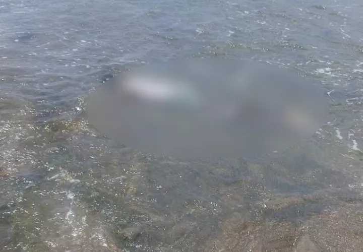 El cadáver fue visualizado flotando en el mar.  /  Foto: Diómedes Sánchez
