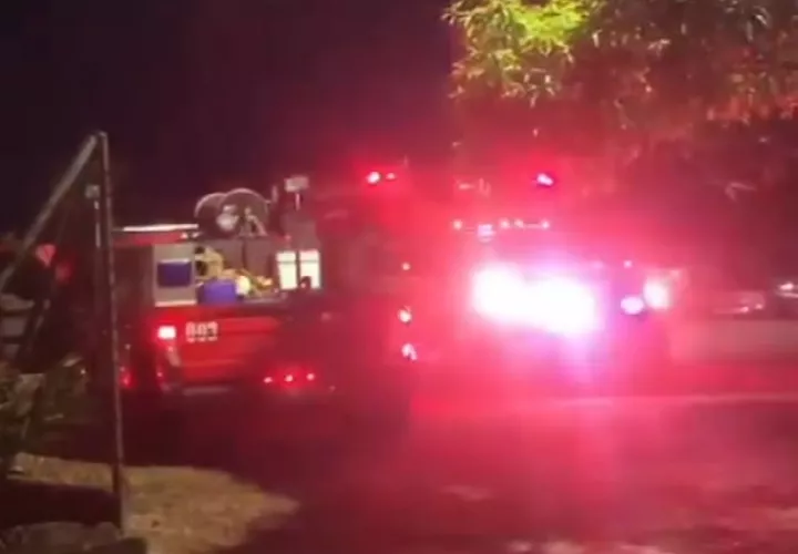 En lo que va del año 2026, las unidades bomberiles han atendido un total de 4,282 emergencias relacionadas con abejas africanizadas en todo el país, reflejando un incremento significativo de estos incidentes.