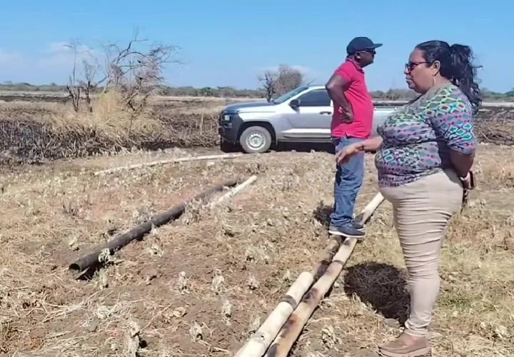 Los productores de esta zona agrícola de Coclé hicieron un llamado a las autoridades para que se refuercen los controles contra las quemas ilegales.