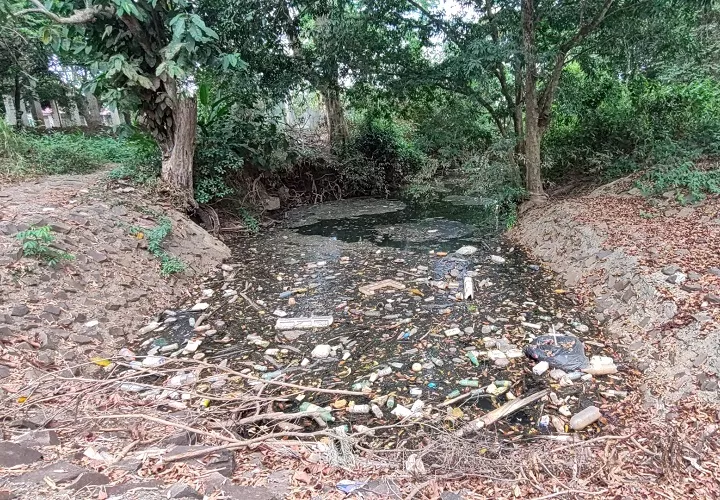 En las áreas visitadas por una comisión, se encontraron focos en una considerable cantidad de desechos contaminantes. Foto. Eric Montenegro