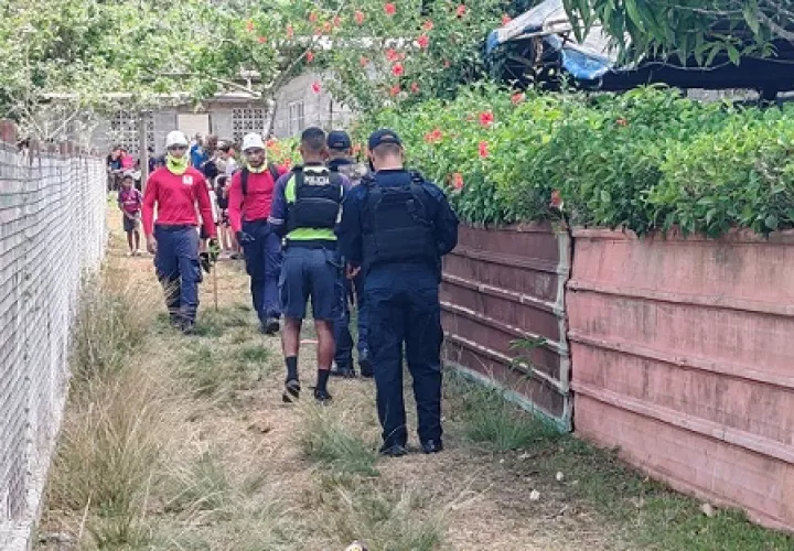 La labor de búsqueda ha resultado difícil debido a la presencia de abejas africanizadas en la zona.  /  Foto: Eric Montengro