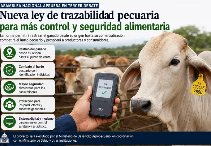 Panamá aprueba ley para rastrear el ganado y frenar el robo en el campo.