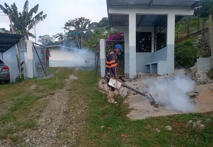 En febrero de 2026 se registró el primer caso de muerte por dengue en la provincia de Coclé.