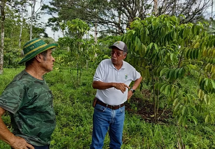 los técnicos sostuvieron una conversación con cada productor y entregaron un reporte escrito con las recomendaciones para mejorar la producción. Foto. Cortesía