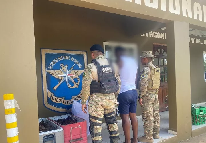  La persona detenida deberá responder por la posesión de estas langostas. Foto. Cortesía