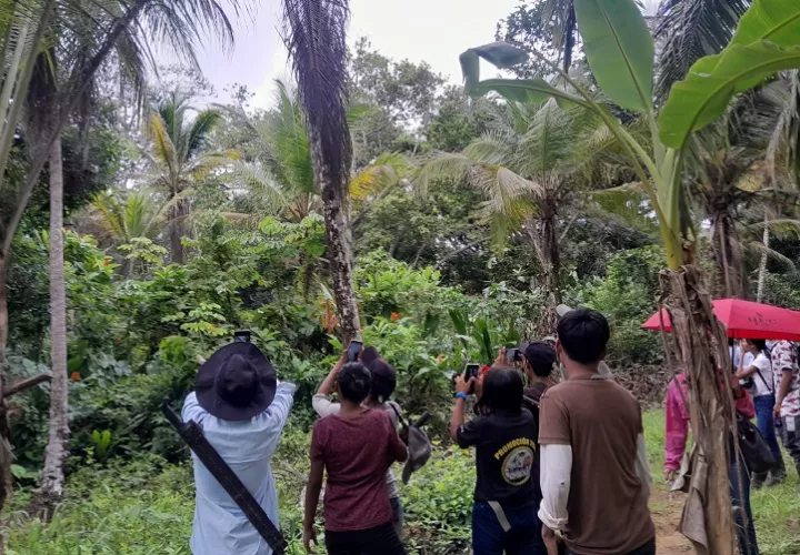 De acuerdo con datos de eBird.org, en 2025 Panamá alcanzó la posición número 12 en todo el mundo y el primer lugar en Centroamérica, con un total de 771 especies avistadas durante el evento.