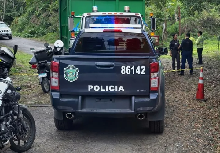 Se presume que el conductor no se dio cuenta de que su compañero estaba en el suelo, solo sintió cuando el camión le pasó por encima a algo.  /  Imagen generada con IA Copilot