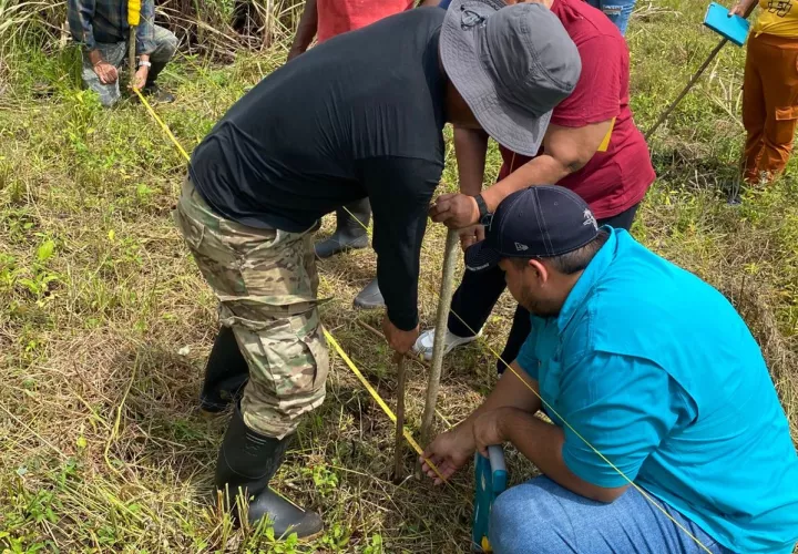 Los productores pondrán en práctica lo aprendido en sus propias fincas durante las próximas semanas, mientras avanzan los trabajos del Proyecto Café 2026.