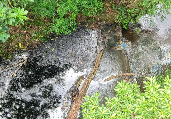La entidad realizó mediciones de parámetros de calidad de agua y la toma de muestras en distintos puntos estratégicos. Foto: Cortesía