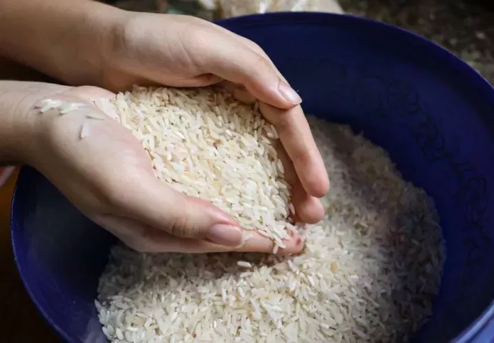 Expresa su respaldo a la decisión del Gobierno de importar arroz en cáscara. Foto: Cortesía