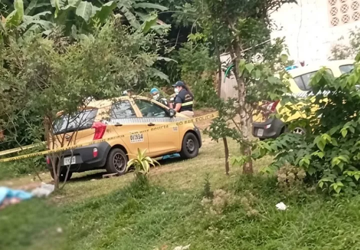 Otra vida que se apagó por un fallo mecánico.  /  Foto: Alexander Santmaría