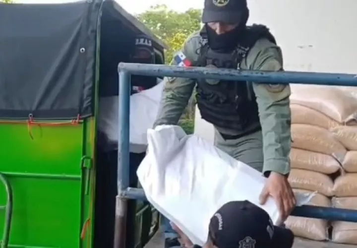 El narcocargamento estaba oculto entre los sacos de maíz.  /  Imagen: PN