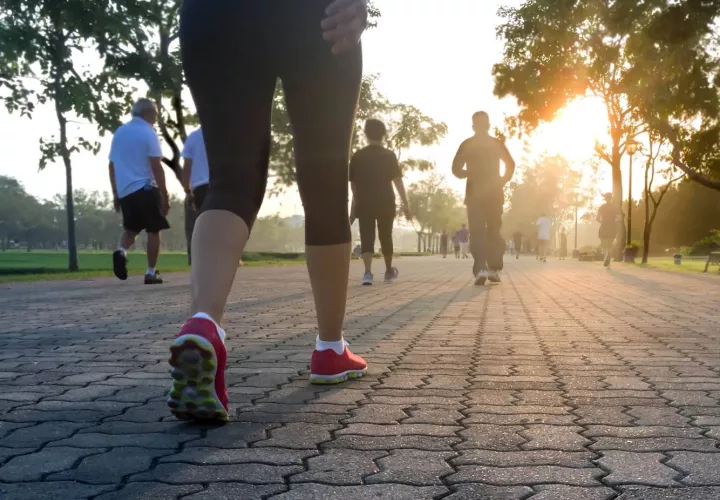 En Panamá, según la Organización Panamericana de la Salud (OPS) informa que más de siete de cada diez personas tienen sobrepeso u obesidad.