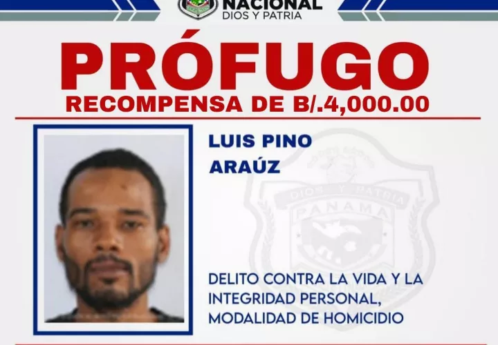 Luis Pino.  / Foto: PN