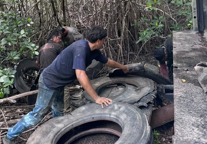 MiAmbiente hizo un llamado a la ciudadanía para evitar el abandono de llantas y otros residuos en las áreas protegidas. Foto. Cortesía