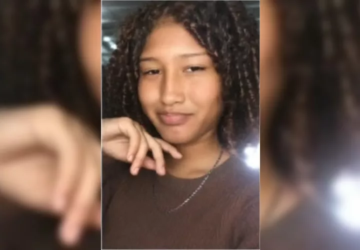Desaparecida:  Dayana Aneth De Gracia R. , una adolescente de 14 años.  /  Foto: Alerta Amber