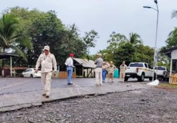 Las áreas con mayor infestación en Chiriquí son David, Bugaba y Dolega. Foto: Cortesía