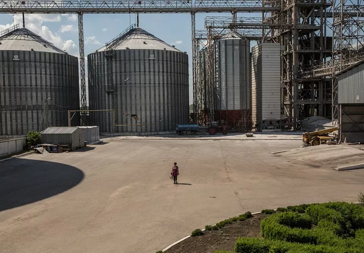 Antes de la guerra, Ucrania representaba aproximadamente el 10% del mercado mundial de trigo, el 15% de maíz y el 13% de cebada, según datos de la Comisión Europea. Foto. EFE